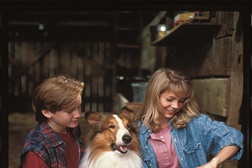 Dia da Criança no Canal Hollywood