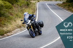 Newsletter nº 39/2025 - 03 de Outubro de 2025