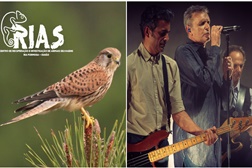 GNR em acção solidária ambiental
