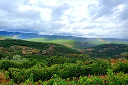 Vidago Palace recebe este sábado a segunda edição do Trás-os-Montes Wine Experience - Dia 22 de novembro no Vidago Palace Hotel