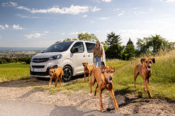 Vida fácil a bordo do Zafira-e Life - também para os cães - Tecnologicamente evoluído e conveniente 