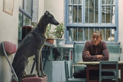 Cão Preto  - Estreia 10 de Abril
