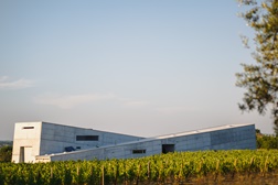 Conversas n'Adega: o primeiro workshop de vinho da Caminhos Cruzados