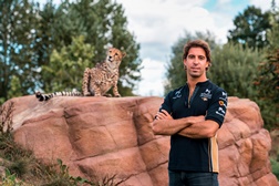 Fórmula E: DS TECHEETAH Contrata António Félix da Costa - Depois da BMW, AFC continua na corrida – um 13 para dar sorte