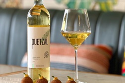 “Quetzal Colheita Branco 2025”:  o equilíbrio da expressão autêntica da Vidigueira  - Harmonia entre as castas Antão Vaz e Arinto