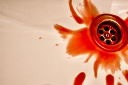 Titus: Será o texto mais violento de Shakespeare o mais atual? - Em cena de 27 de novembro a 7 de dezembro, no Teatro Carlos Alberto