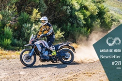Newsletter nº 28/2026 - 21 de julho de 2026