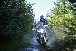 Queridos Reis Magos, este ano quero viver as aventuras mais apaixonantes 