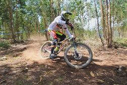 José Borges
