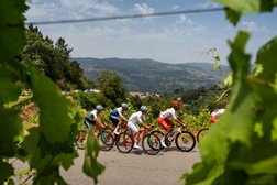 Grande Prémio Douro Internacional e 20.ª volta a Portugal de Juniores animam o final de agosto