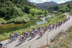 Agenda de Ciclismo (12 e 13 de fevereiro de 2022)