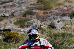 Hélder Rodrigues