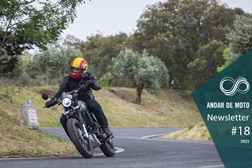 Newsletter nº 18/2021 - 04 de Maio de 2021