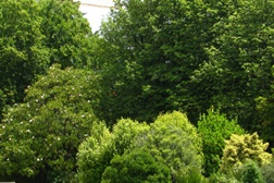 O verão no Parque de Serralves