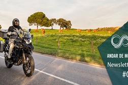 Newsletter nº 5/2021 - 2 de Fevereiro de 2021