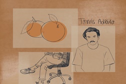 Tomás Adrião apresenta nova música "À Procura de Alguém"