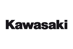 Recall - Kawasaki Motores do Brasil Ltda