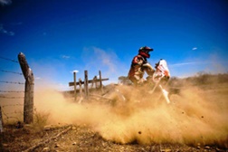 Equipa Bianchi Prata / BP Ultimate azarada na 25ª Baja Vodafone Portalegre 500