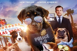Cães à Solta
