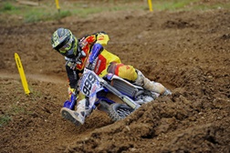 Rui Gonçalves