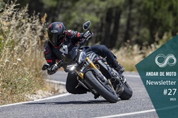 Newsletter nº 28/2021 - 13 de Julho de 2021
