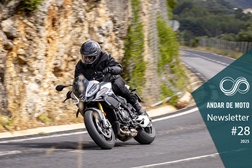 Newsletter nº 28/2025 - 15 de Julho de 2025