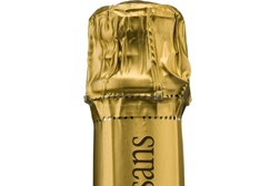 Veuve Moisans Brut PVP: 9,75€