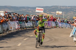 Frederico Figueiredo