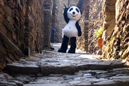 Panda à descoberta do Piódão já tem data marcada de emissão