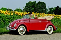 Azeitão Volkswagens Classics