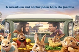 Peter Rabbit: Coelho à Solta