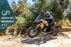 Newsletter nº 35/2025 - 04 de Setembro de 2025