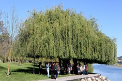 Caminhos apresenta um roteiro com percursos e espectáculos gratuitos na Páscoa