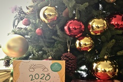 "2020 na tua história" de Joana Brandão ajuda a criança a guardar para sempre o bom e o menos bom deste ano