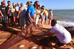 Petiscos do Pescador em Quarteira - Entrada livre