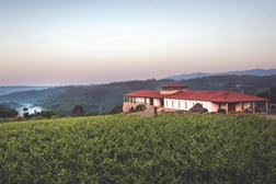 Quinta de Lemos celebra as vindimas com experiências únicas no Dão