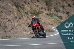 Newsletter nº 24/2025 - 17 de Junho de 2025