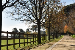 Visita sazonal - O Inverno no Parque de Serralves