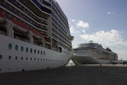MSC Cruzeiros é líder de mercado em Portugal pelo segundo ano consecutivo