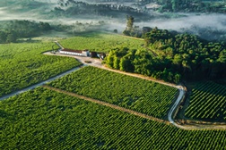 Quinta de Lemos lança Packs de Natal - Celebrar a tradição do Dão com vinhos e azeites de fina qualidade