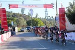 Equipas de topo na Volta ao Algarve de 2019