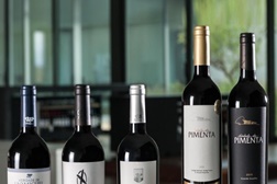 Vinhos da Casa Agrícola Alexandre Relvas nas praias de norte a sul do País