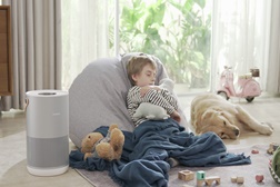 Smartmi ensina como manter a qualidade do ar numa casa com animais de estimação
