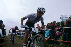 David Rosa