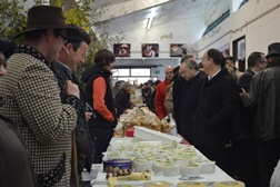 Feira do Queijo de Seia
