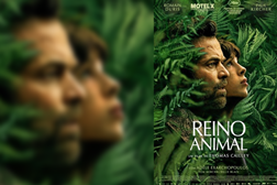 Reino Animal (2023) - 1 de Novembro de 2023