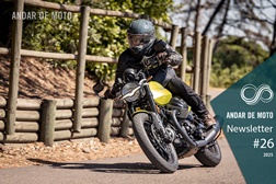 Newsletter nº 26/2025 - 3 de Julho de 2025