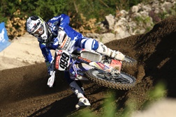 Rui Gonçalves