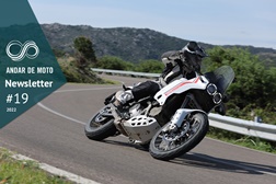 Newsletter nº 19/2022 - 10 de Maio de 2022
