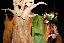 Raposa vs Corvo e Galo no Teatro-Cine de Torres Vedras
